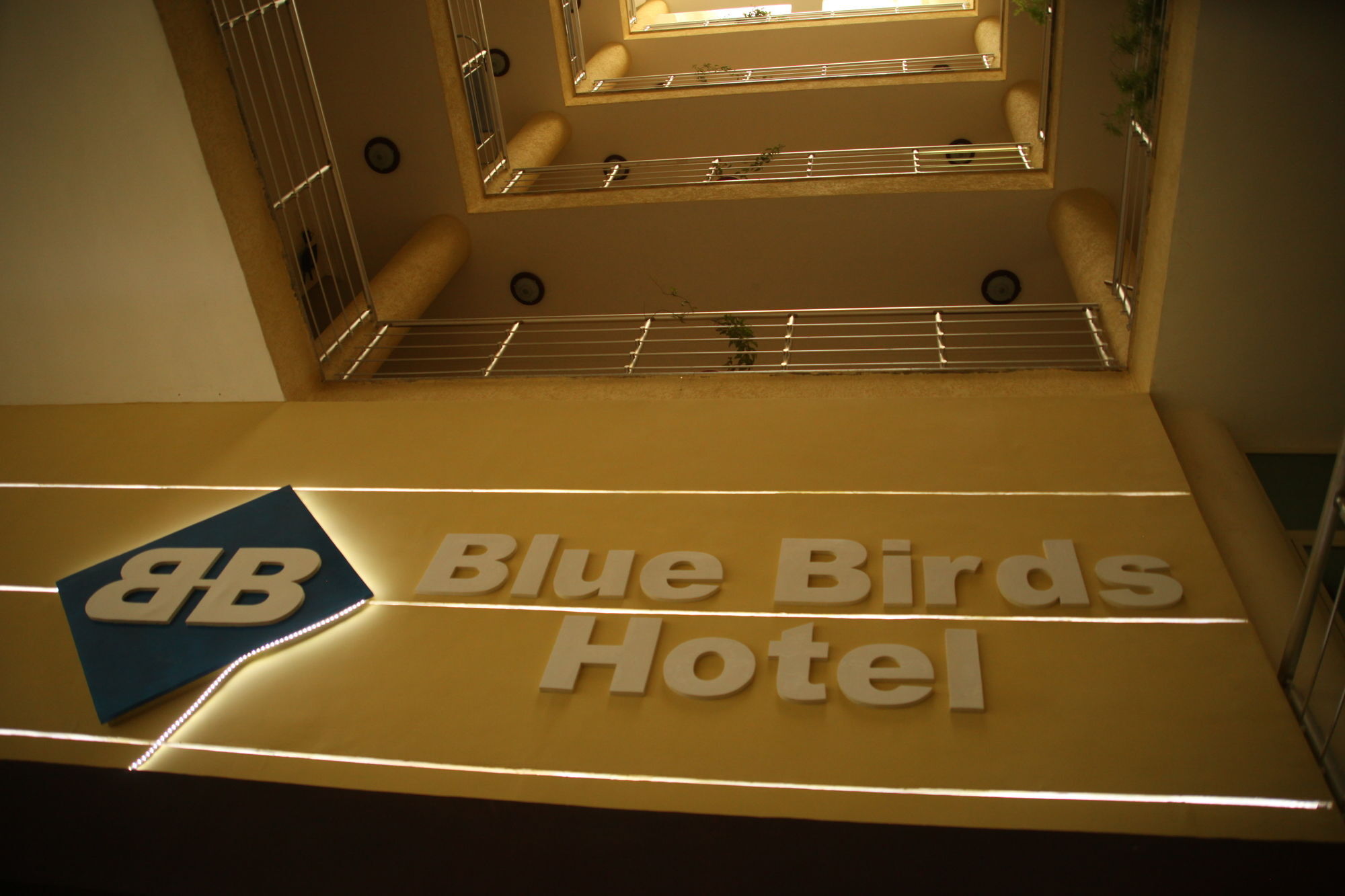 Blue Birds International Hotel Addis Ababa Exterior photo